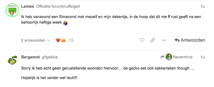 Schermafbeelding 2021-07-31 om 22.47.41