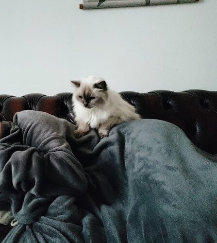 CYMERA_20211123_204425