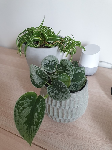 20190527_163723