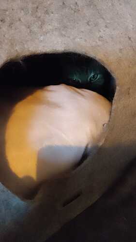 IMG-20211213-WA0005