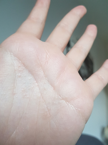 20190217_162829