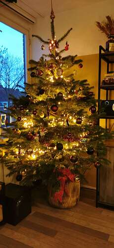 IMG_20201206_164152