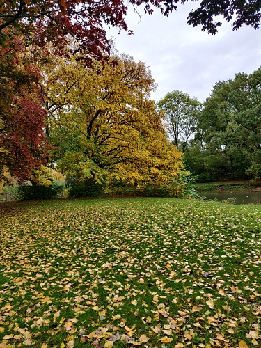IMG_20201025_104640