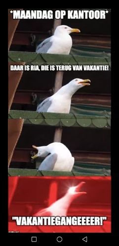 katana