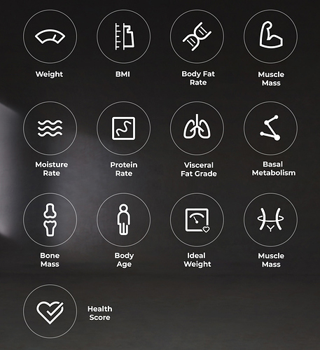 Des-06-Xiaomi-Mi-Body-Composition-Scale-2