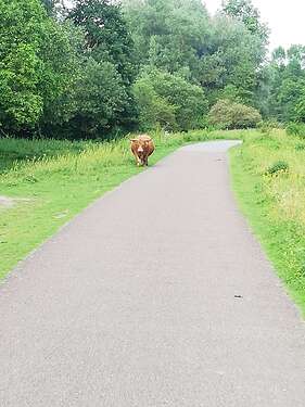 IMG_20210705_195508