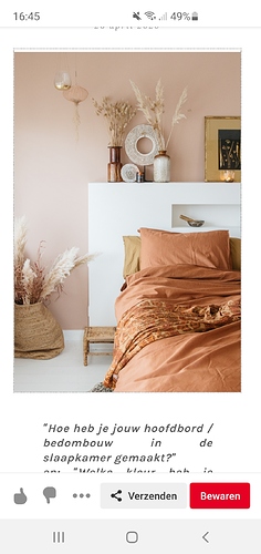 Screenshot_20201030-164548_Pinterest