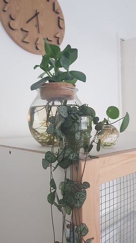IMG-20190910-WA0016