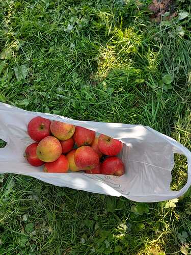 IMG-20211009-WA0018