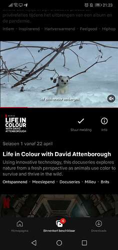 Screenshot_20210404_212336_com.netflix.mediaclient
