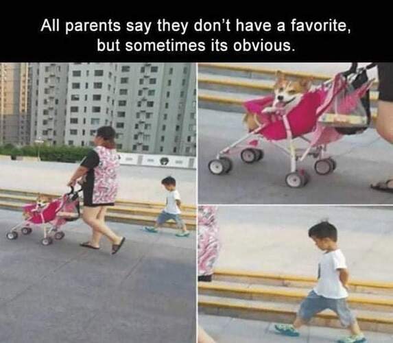 FB_IMG_1615315780370