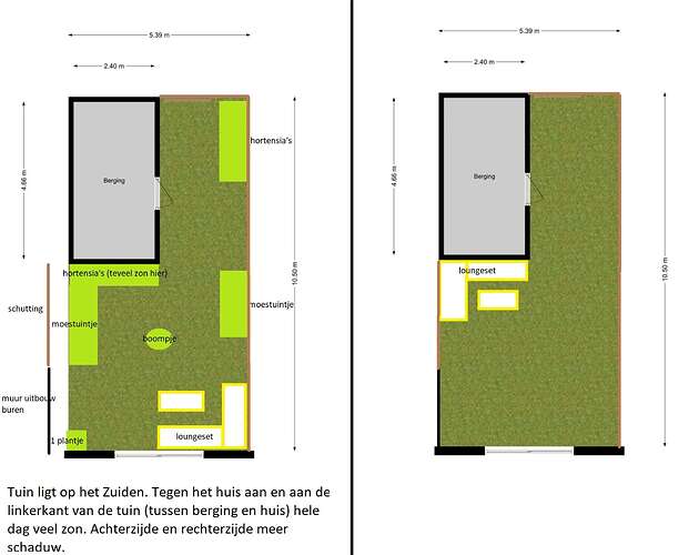 tuin