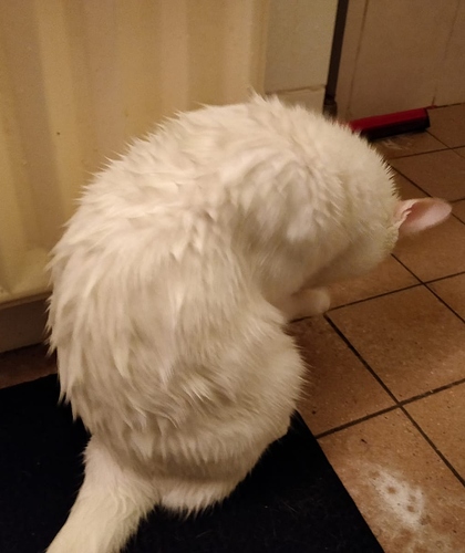 IMG-20190122-WA0001__01