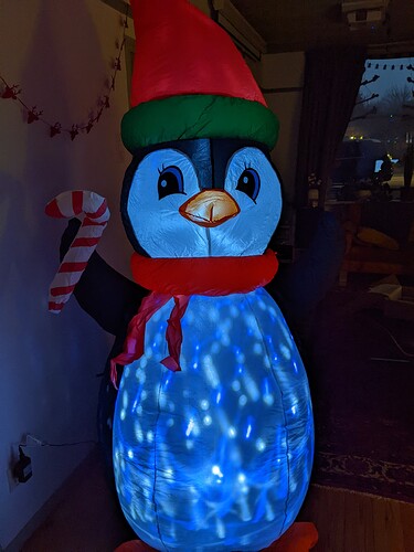 PXL_20211216_160915583