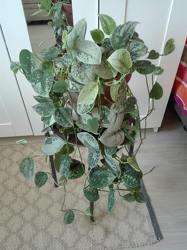 04