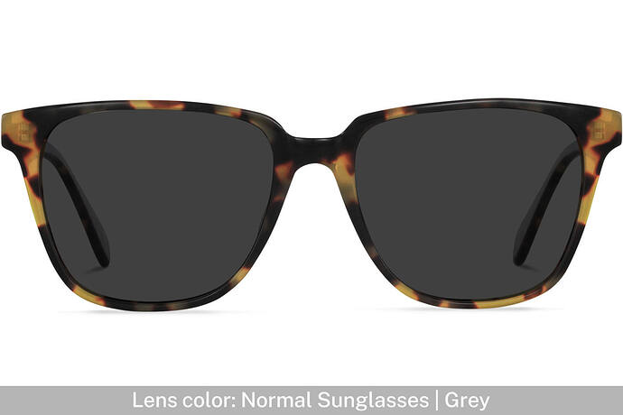 ctm97_paxton_blonde_tortoise_front_sun_grey