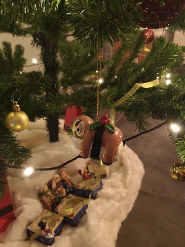 IMG_20191214_081027