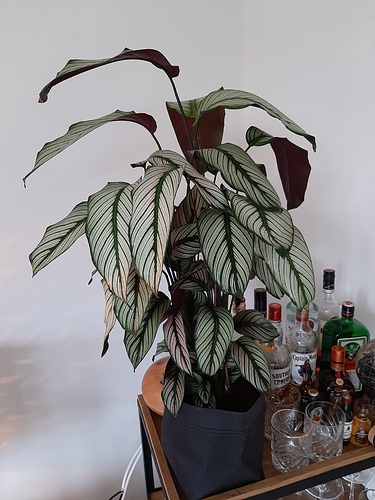20191013_161854