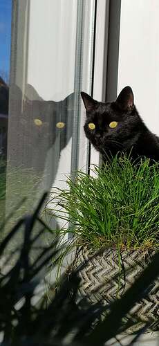IMG_20210125_134942