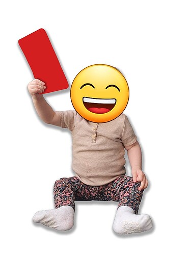 b87258a78736feeeea0ed238da6dd0f6f3100c3e_2_750x1000