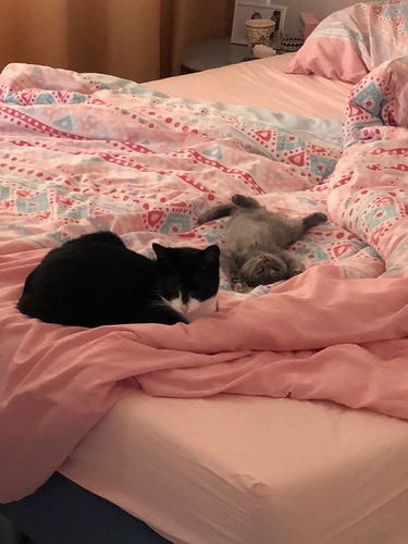 IMG-20180918-WA0015