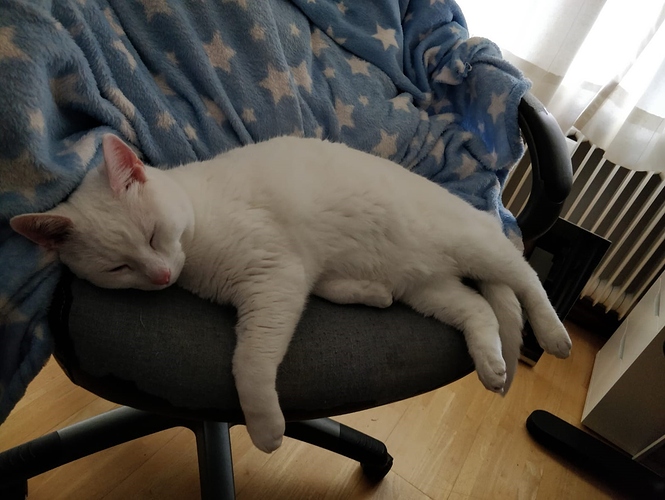 IMG-20190904-WA0002