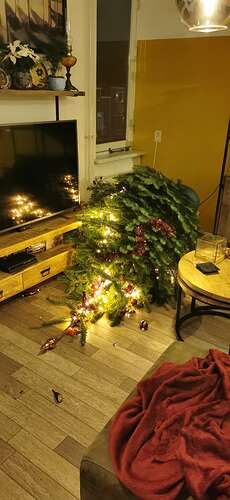 IMG_20201206_213746