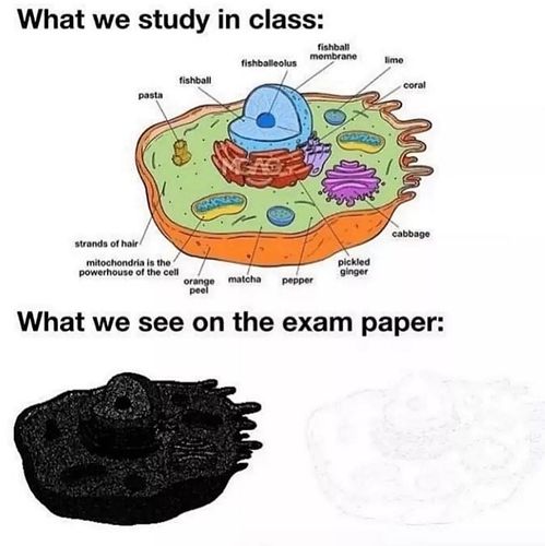 FB_IMG_1578953905189