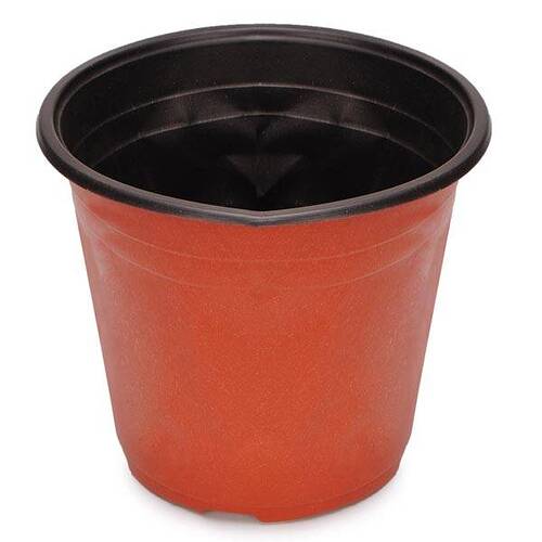 plastic-bloempot-voor-kweken