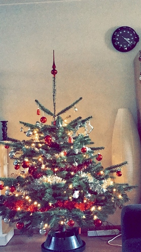 Kerstboom