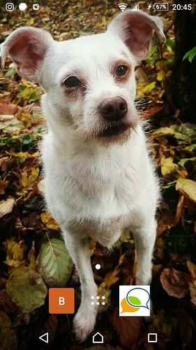 Screenshot_2019-10-06-20-45-27