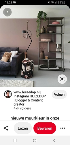 Screenshot_20201111-122345_Pinterest