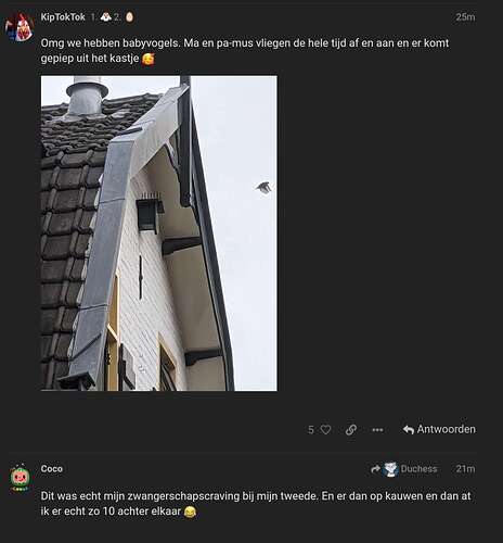 Screenshot_20210604-191912_Chrome