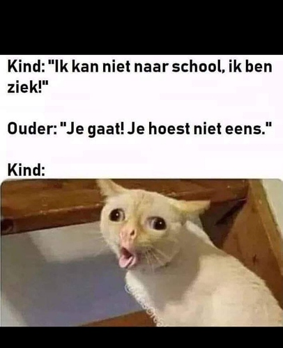 20191005_194844