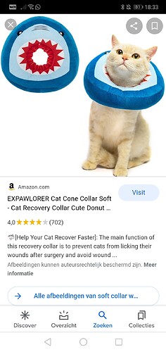 Screenshot_20220216_183306_com.google.android.googlequicksearchbox