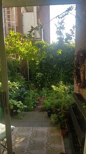 IMG-20220710-WA0006