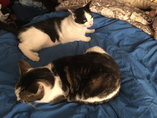 PHOTO-2018-08-23-15-00-46