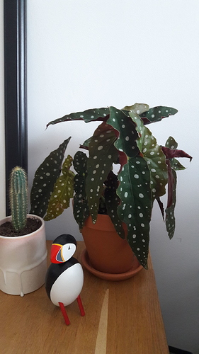 IMG-20180923-WA0010