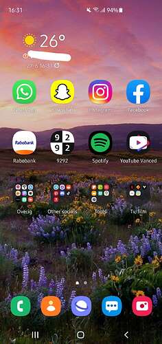 Screenshot_20210627-163130_One UI Home
