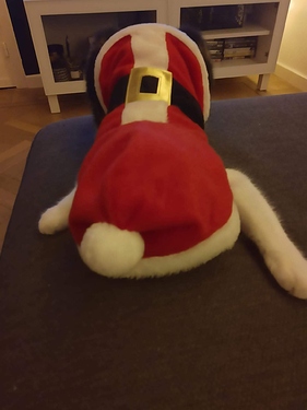 IMG-20191217-WA0000