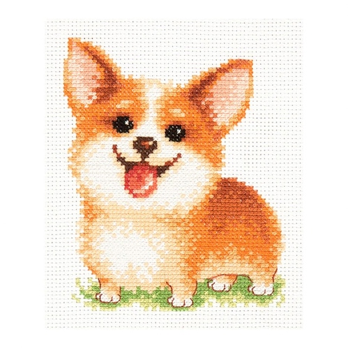 corgi