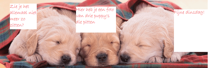 puppys%20geen%20leven