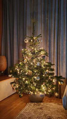 IMG-20201201-WA0006