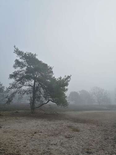 IMG_20210228_102059