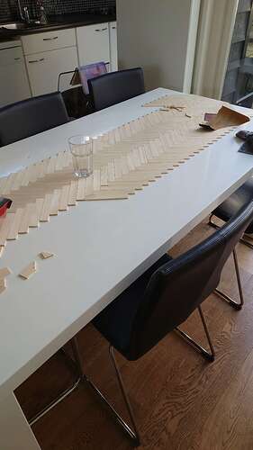 IMG-20210729-WA0013