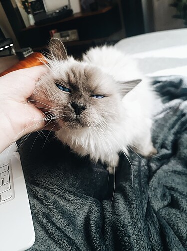 1646313668249_Grump