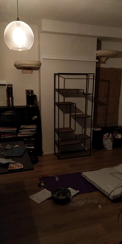 IMG-20190123-WA0053