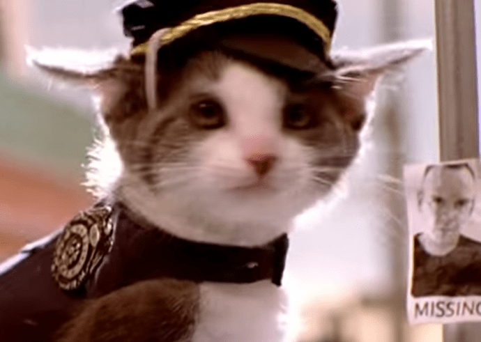 Screenshot_20200610-135958