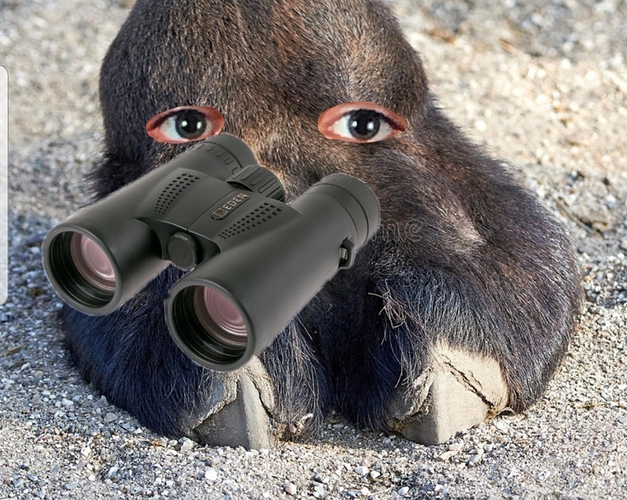 58