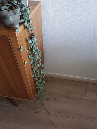 20190831_130544